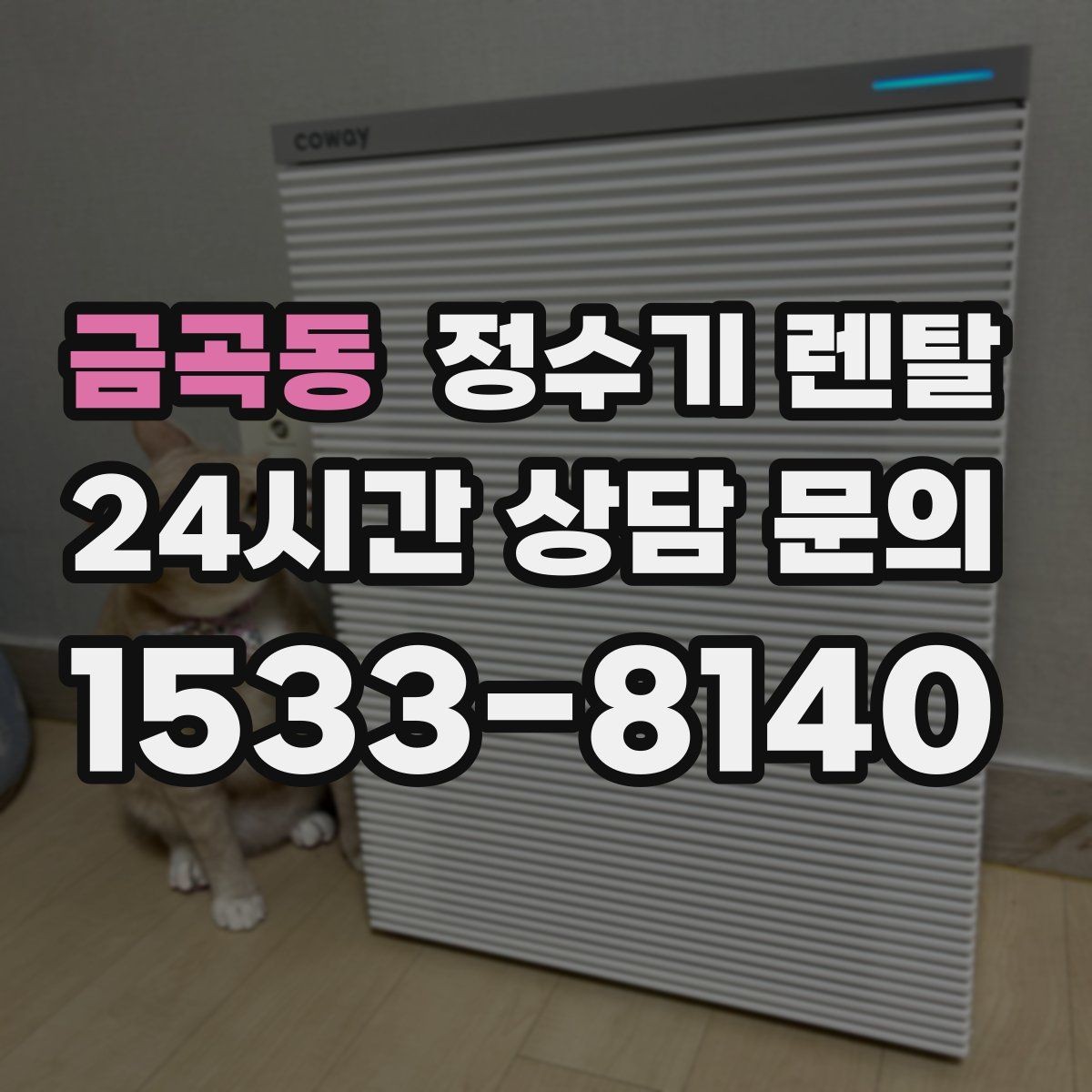 금곡동 정수기 렌탈 후회 없는 선택을 위한 한 장 정리