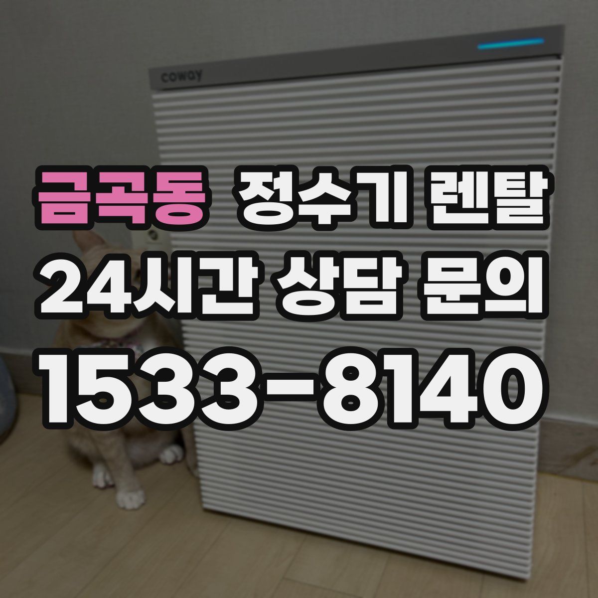 금곡동 정수기 렌탈