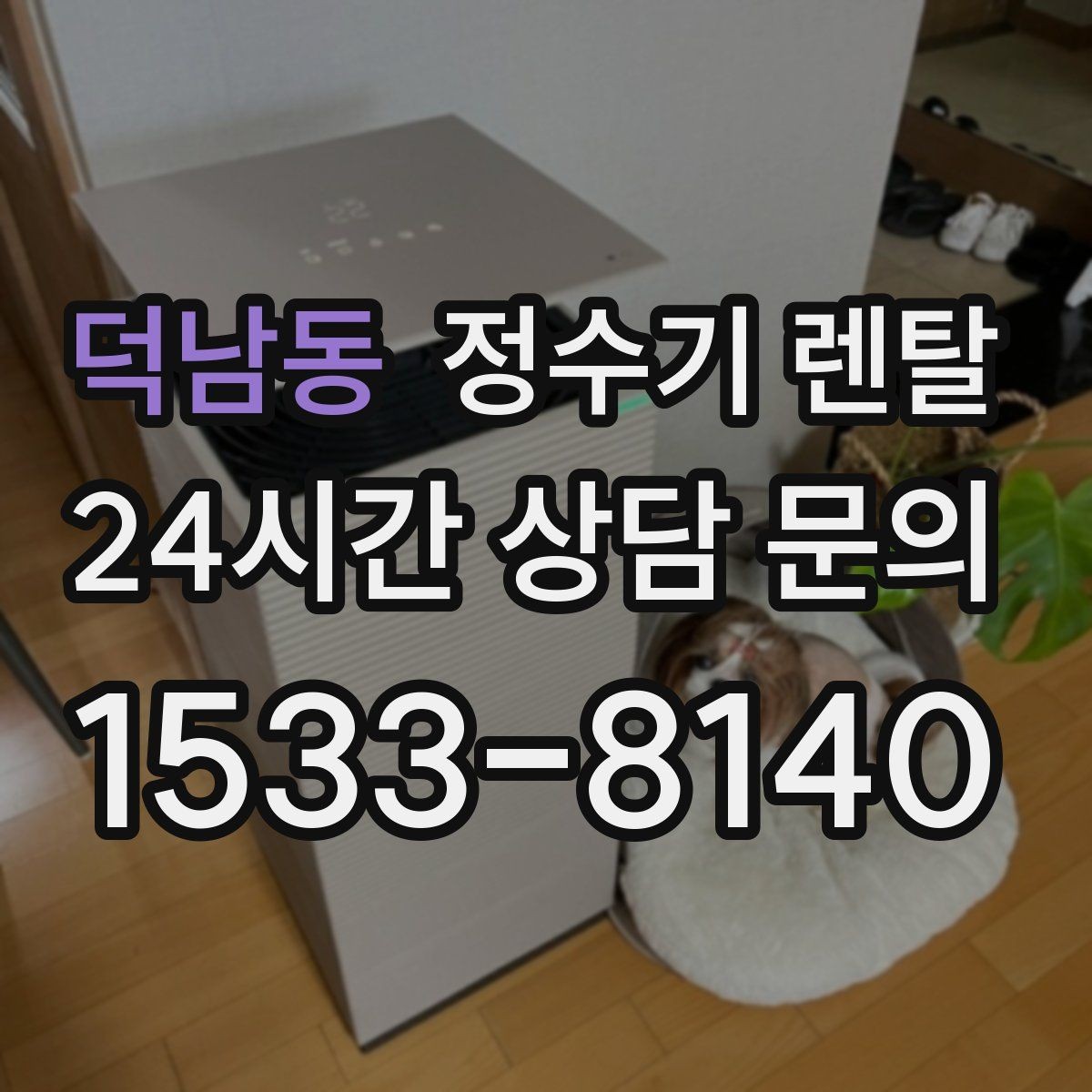 덕남동 정수기 렌탈 냉온정이 꼭 필요 없는 집의 특징