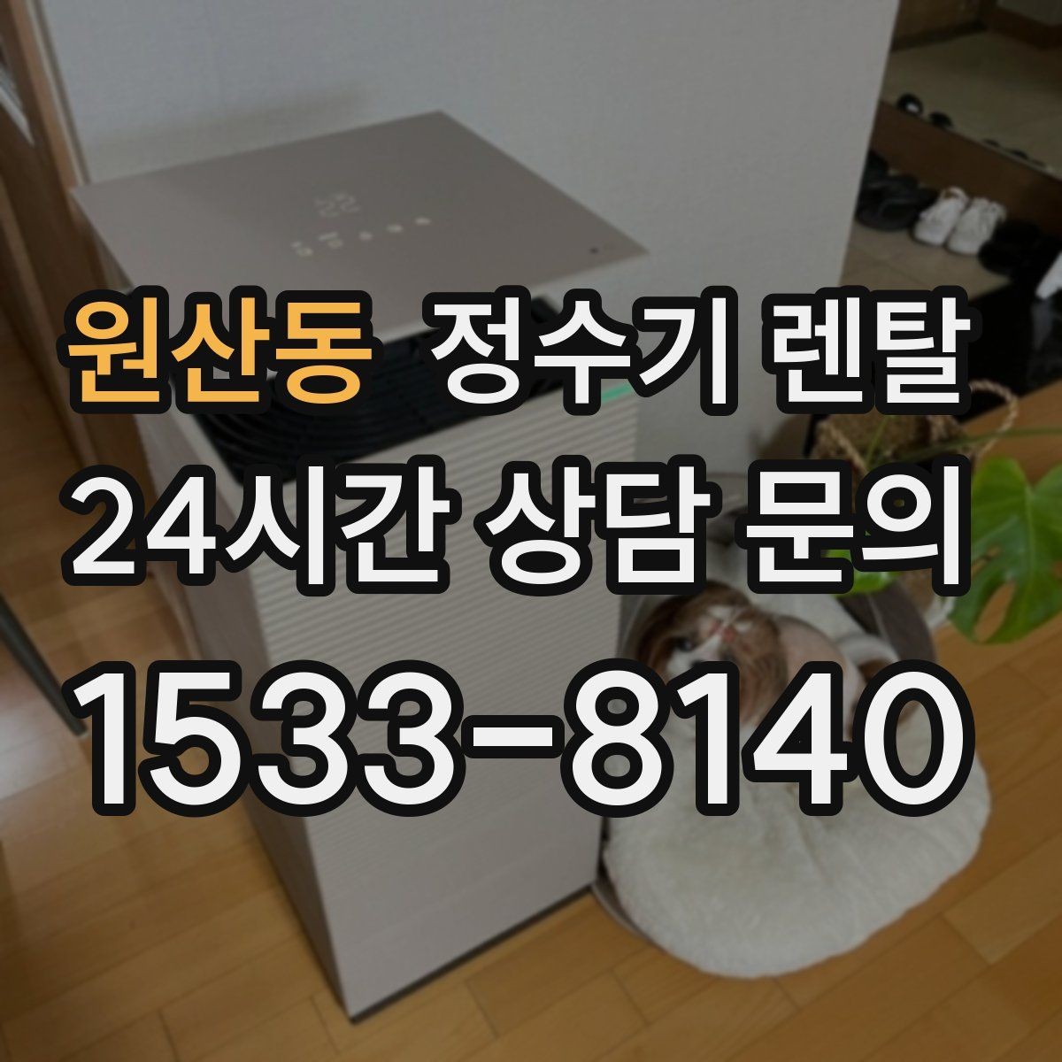 원산동 정수기 렌탈 슬림형이 필요한 집의 특징