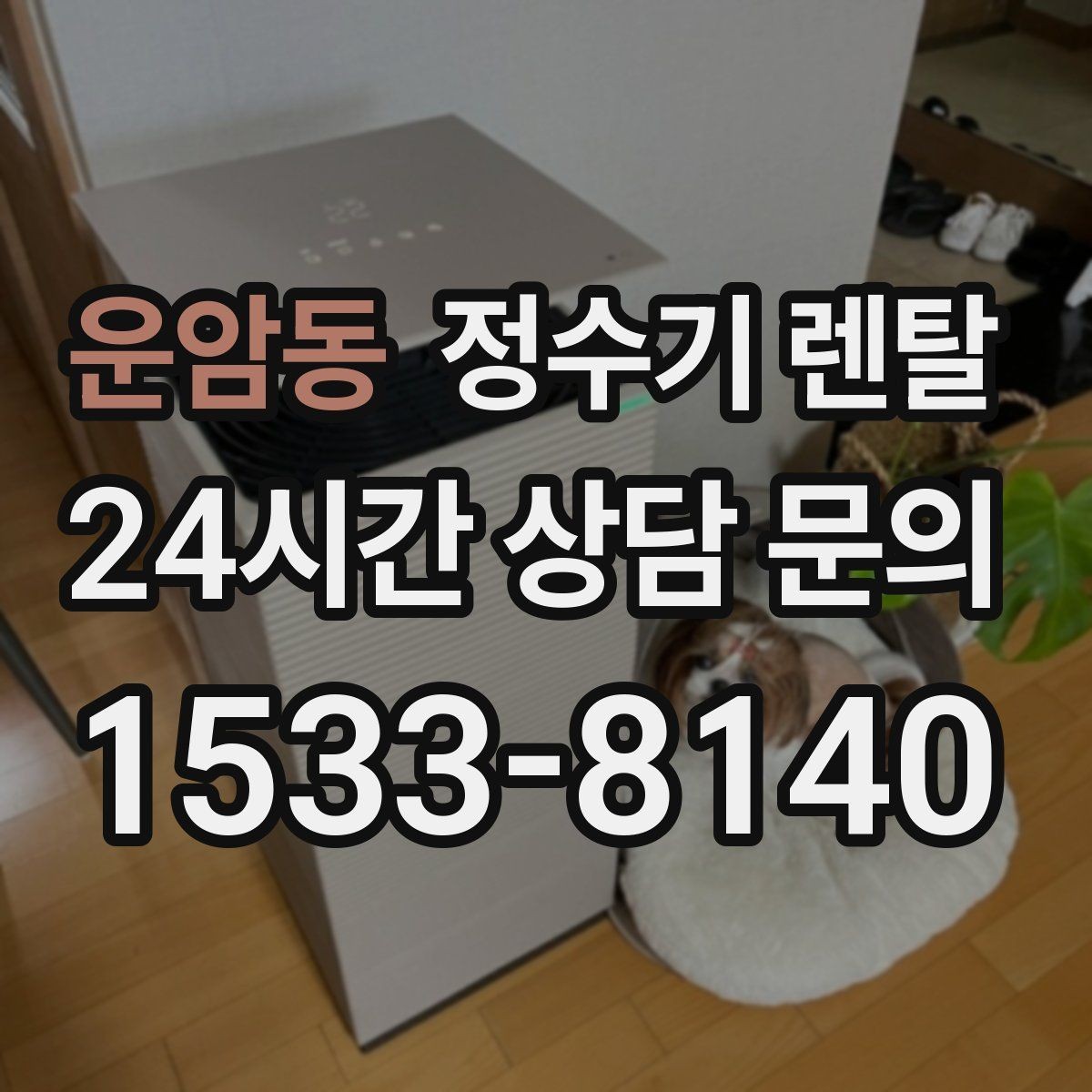 운암동 정수기 렌탈 자가 교체형 필터 장단점 정리