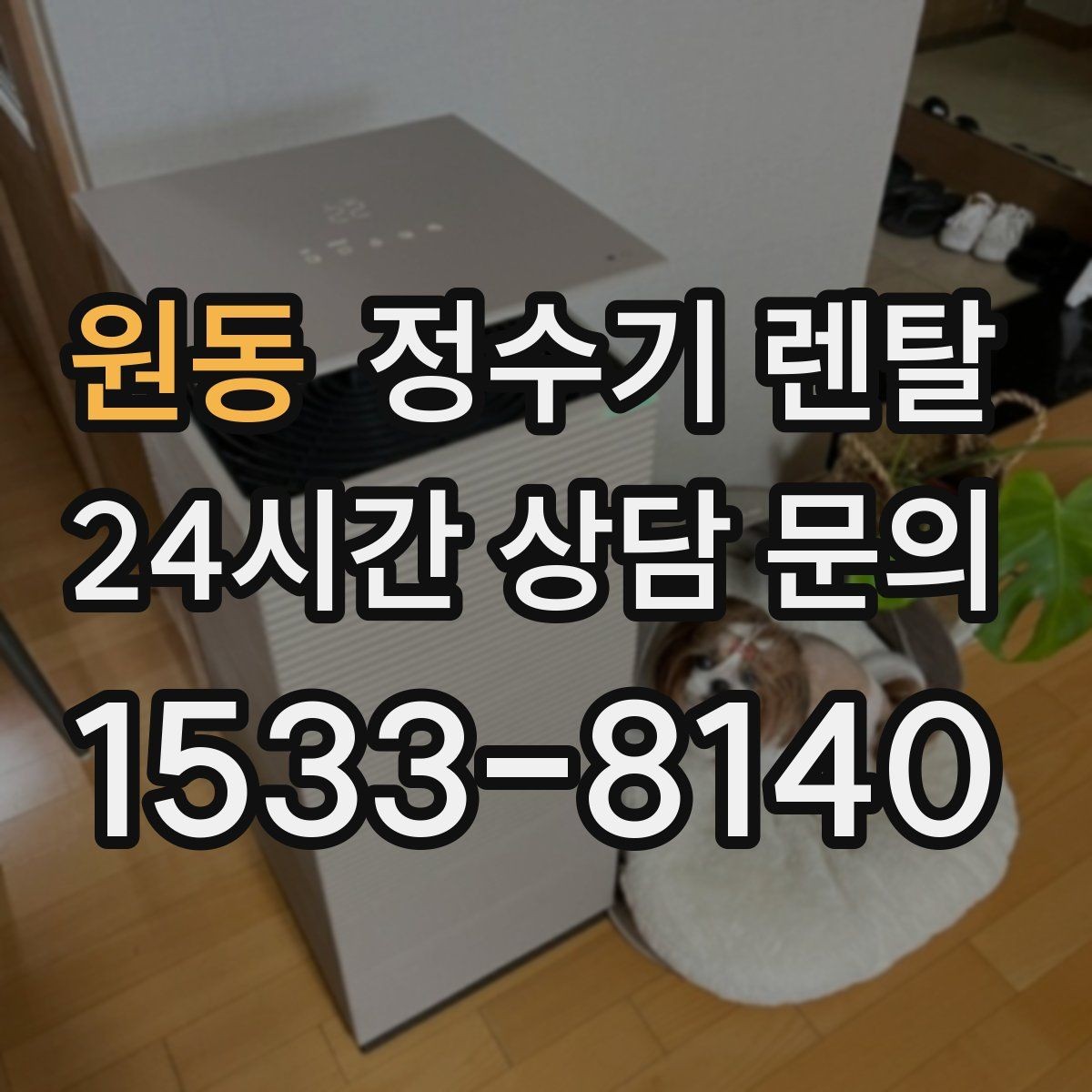 원동 정수기 렌탈 대기전력 줄이는 설정 팁