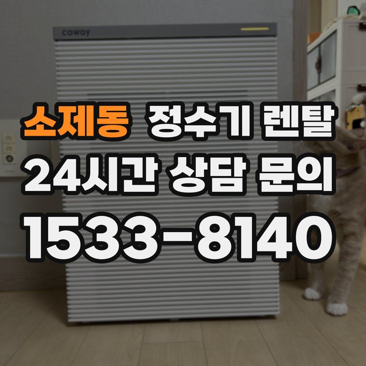 소제동 정수기 렌탈 필터 교체를 미루면 생기는 대표 문제
