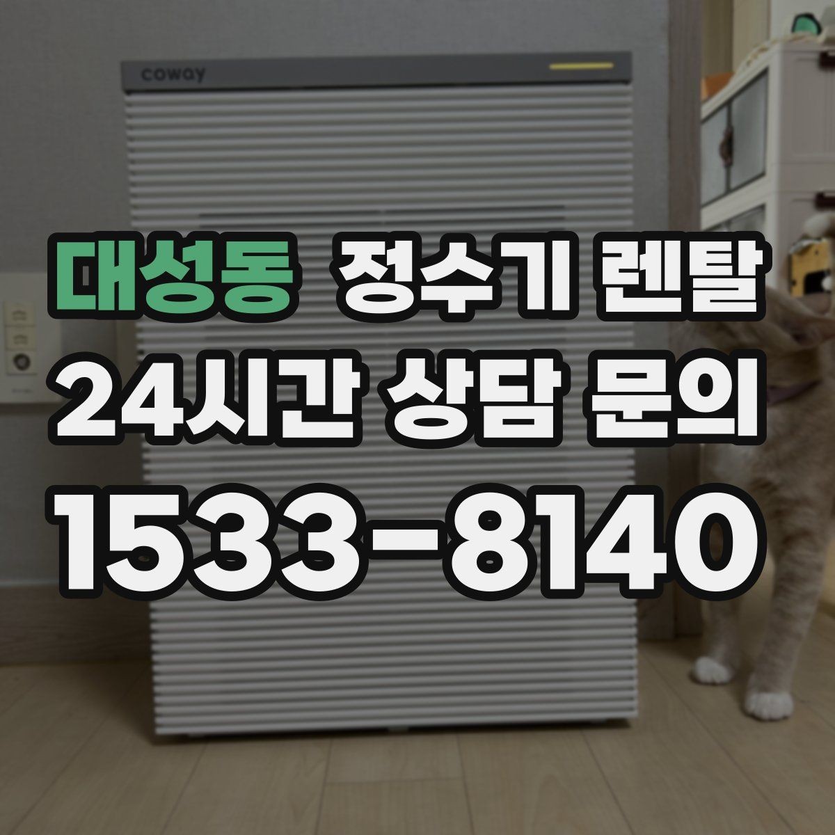 대성동 정수기 렌탈 인테리어와 위생 모두 잡는 선택법