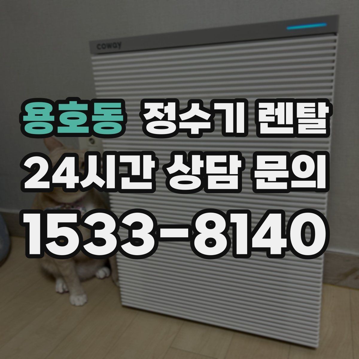 용호동 정수기 렌탈 작은 원룸 주방에 설치할 때 흔한 실수