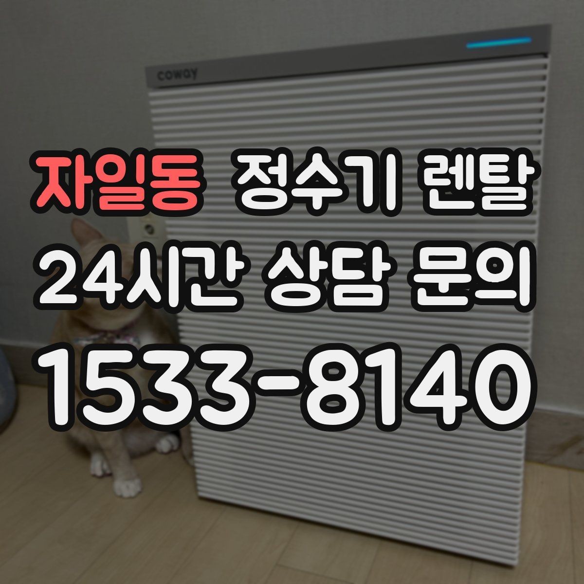 자일동 정수기 렌탈 미네랄 유지형을 찾는 이유를 정리