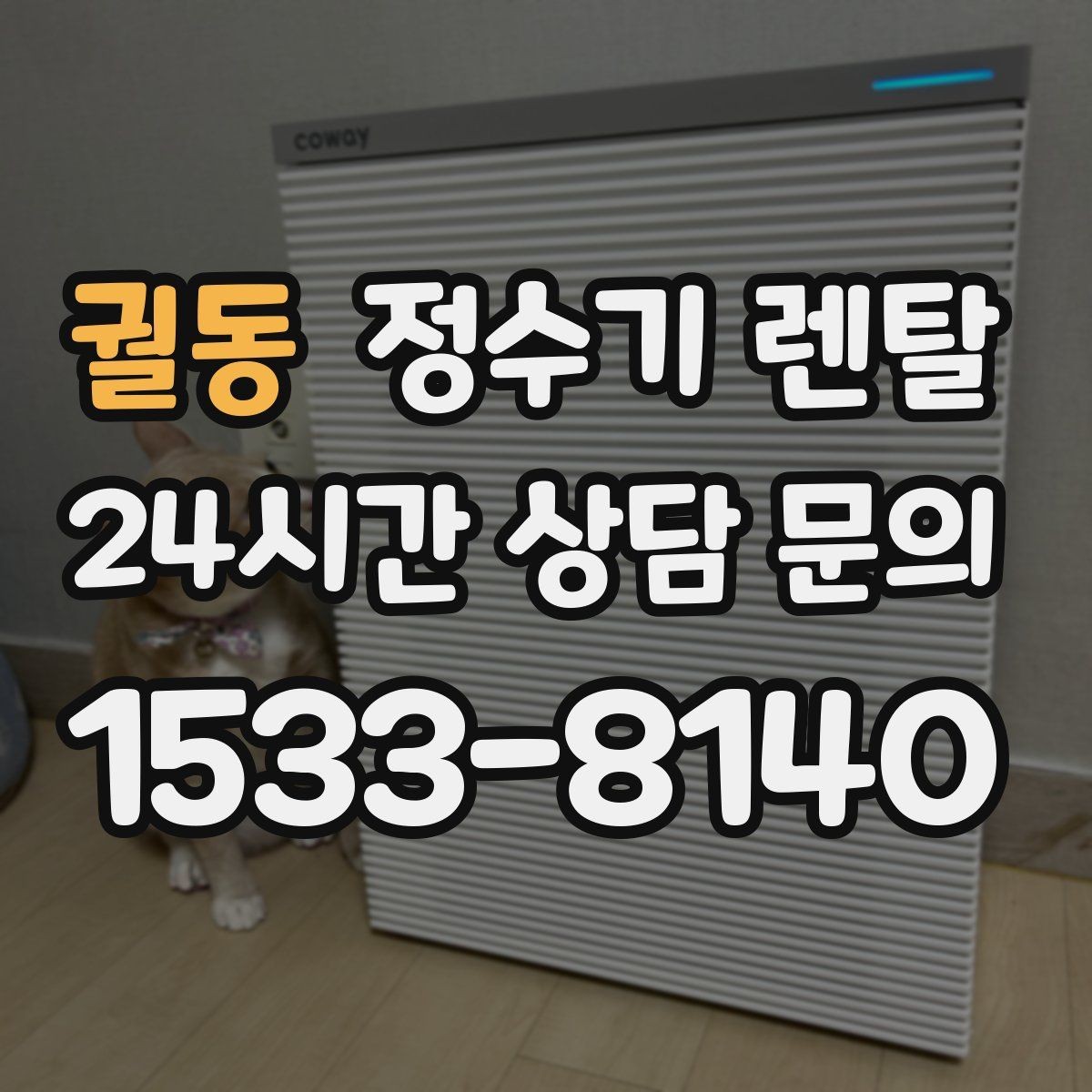 궐동 정수기 렌탈 생수 대신 렌탈이 편해지는 순간