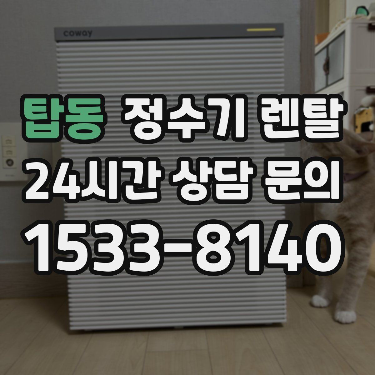 탑동 정수기 렌탈 정수 전용이 더 좋은 경우 정리
