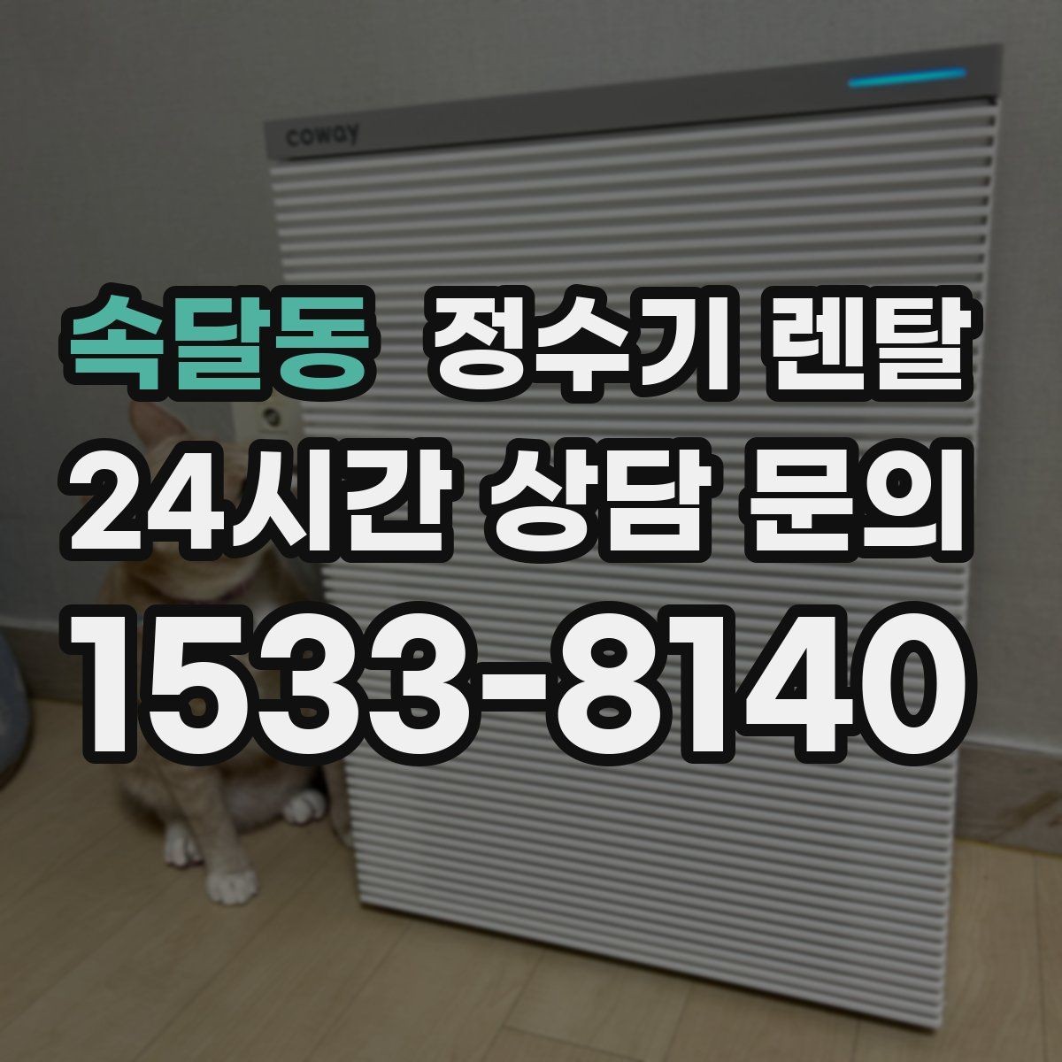 속달동 정수기 렌탈 정수기 청소는 어디까지 해야 할까