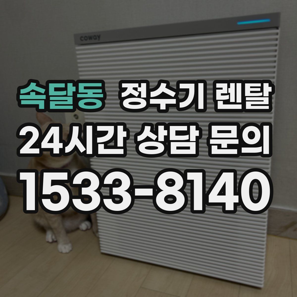 속달동 정수기 렌탈