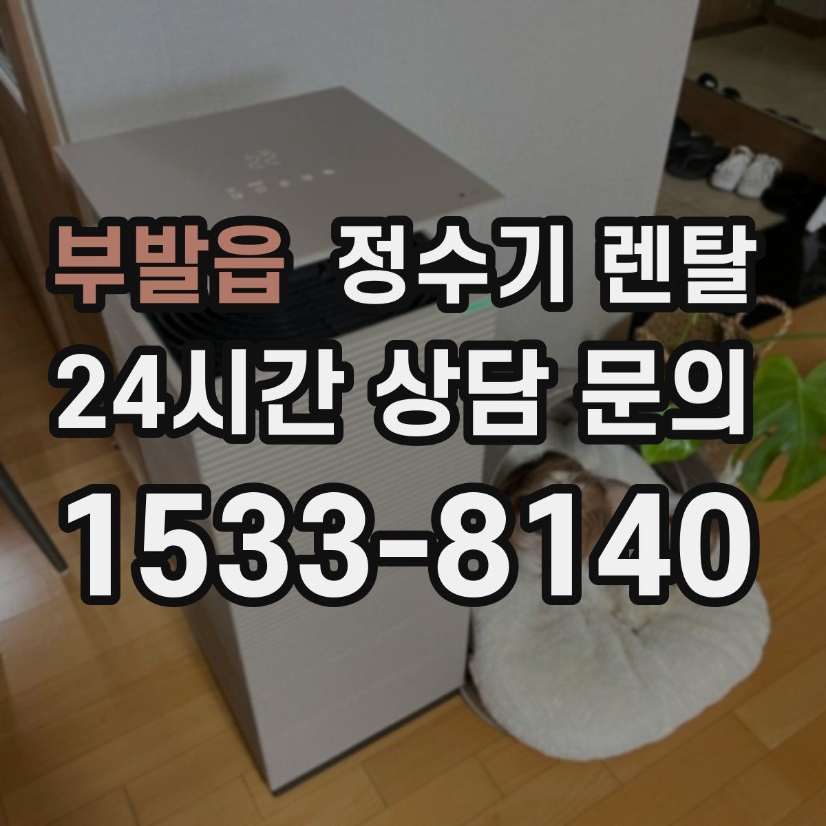 부발읍 정수기 렌탈 1인 가구는 냉수 기능보다 중요한 포인트