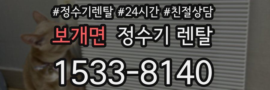 보개면 정수기 렌탈