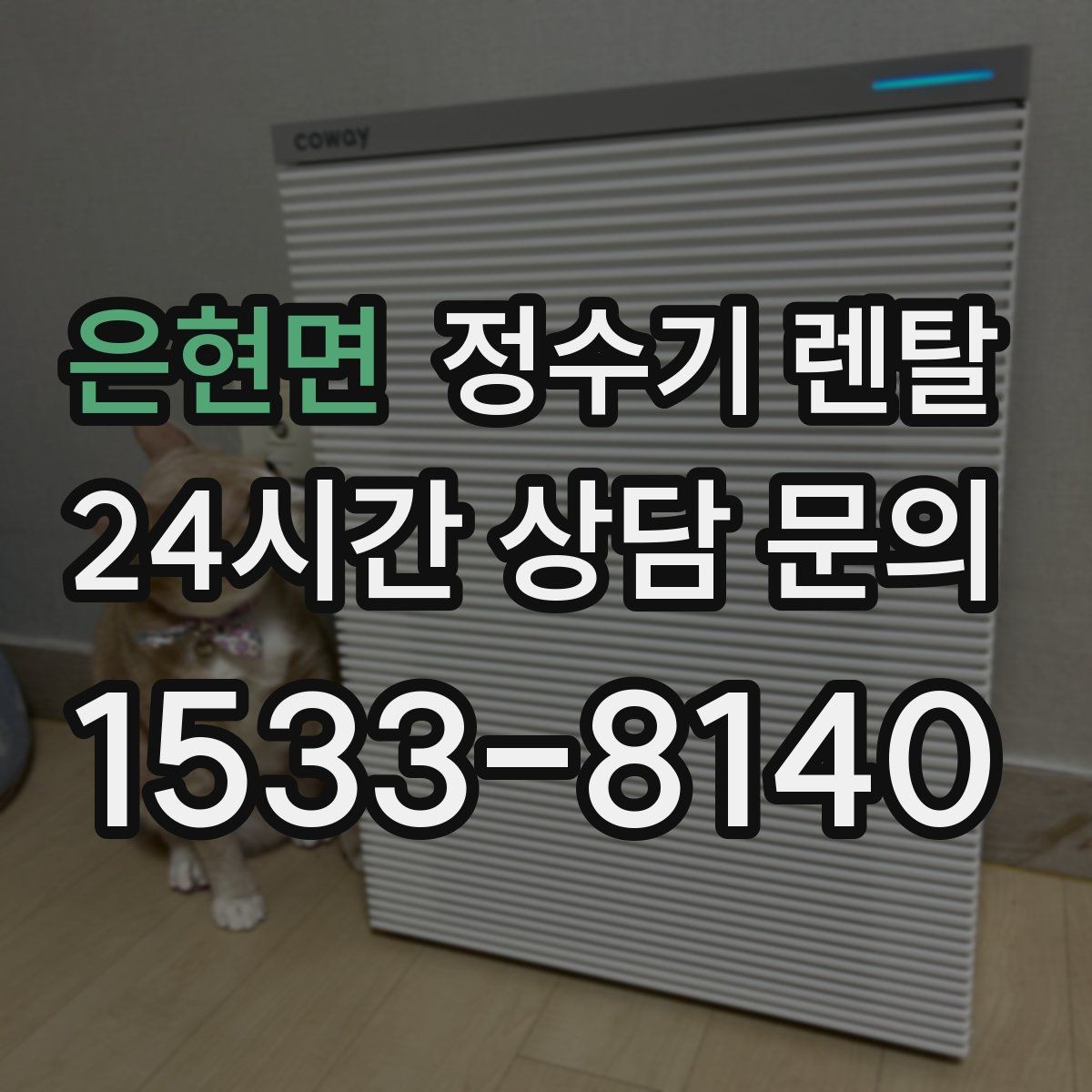 은현면 정수기 렌탈 색상 선택으로 주방 분위기 맞추기