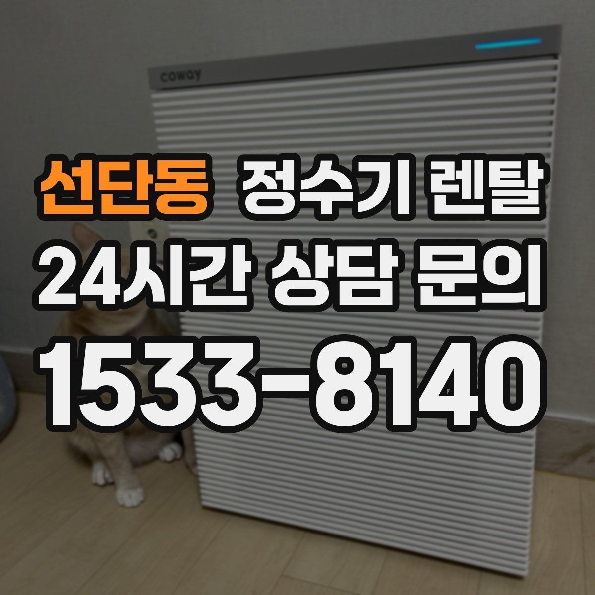 선단동 정수기 렌탈 휴가 다녀온 뒤 처음 물 받을 때 주의할 점