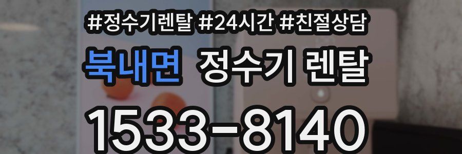 북내면 정수기 렌탈