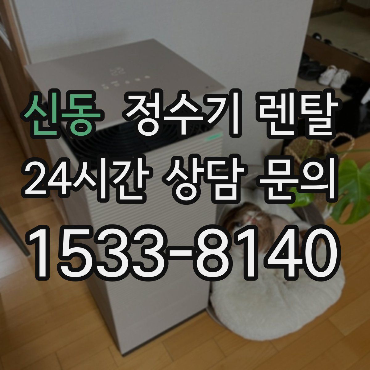 신동 정수기 렌탈