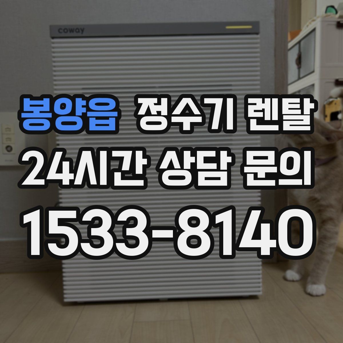 봉양읍 정수기 렌탈 정량 출수 기능이 실사용에 좋은 이유