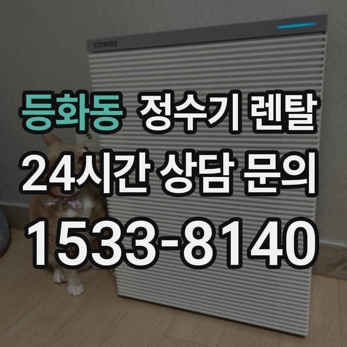 등화동 정수기 렌탈 화이트 블랙 메탈 중 어떤 색이 깔끔할까