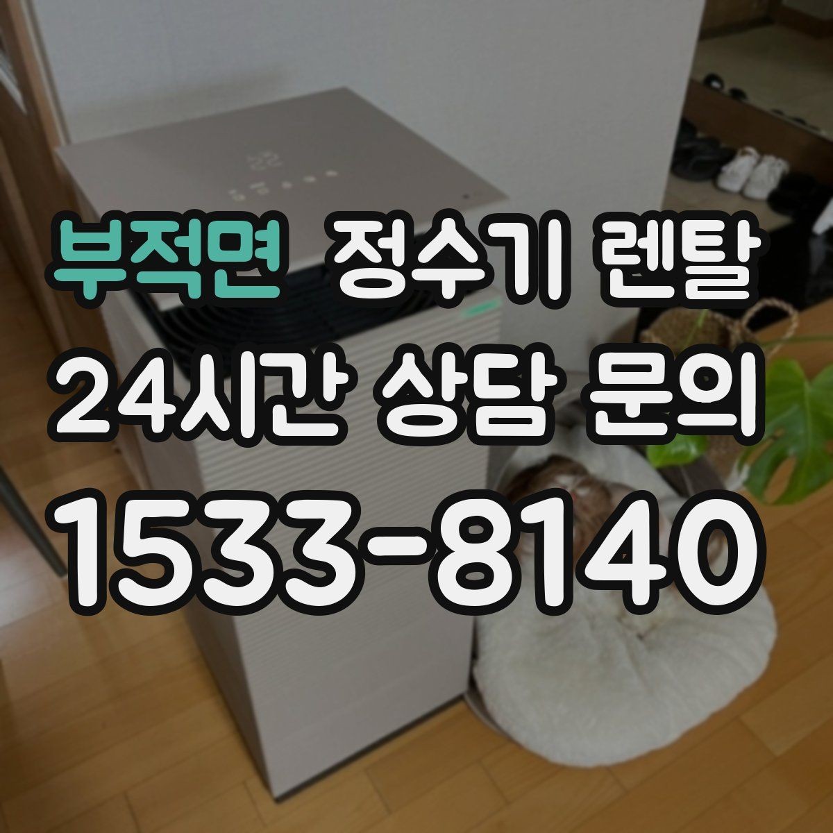 부적면 정수기 렌탈 설치부터 관리까지 깔끔하게 정리했습니다