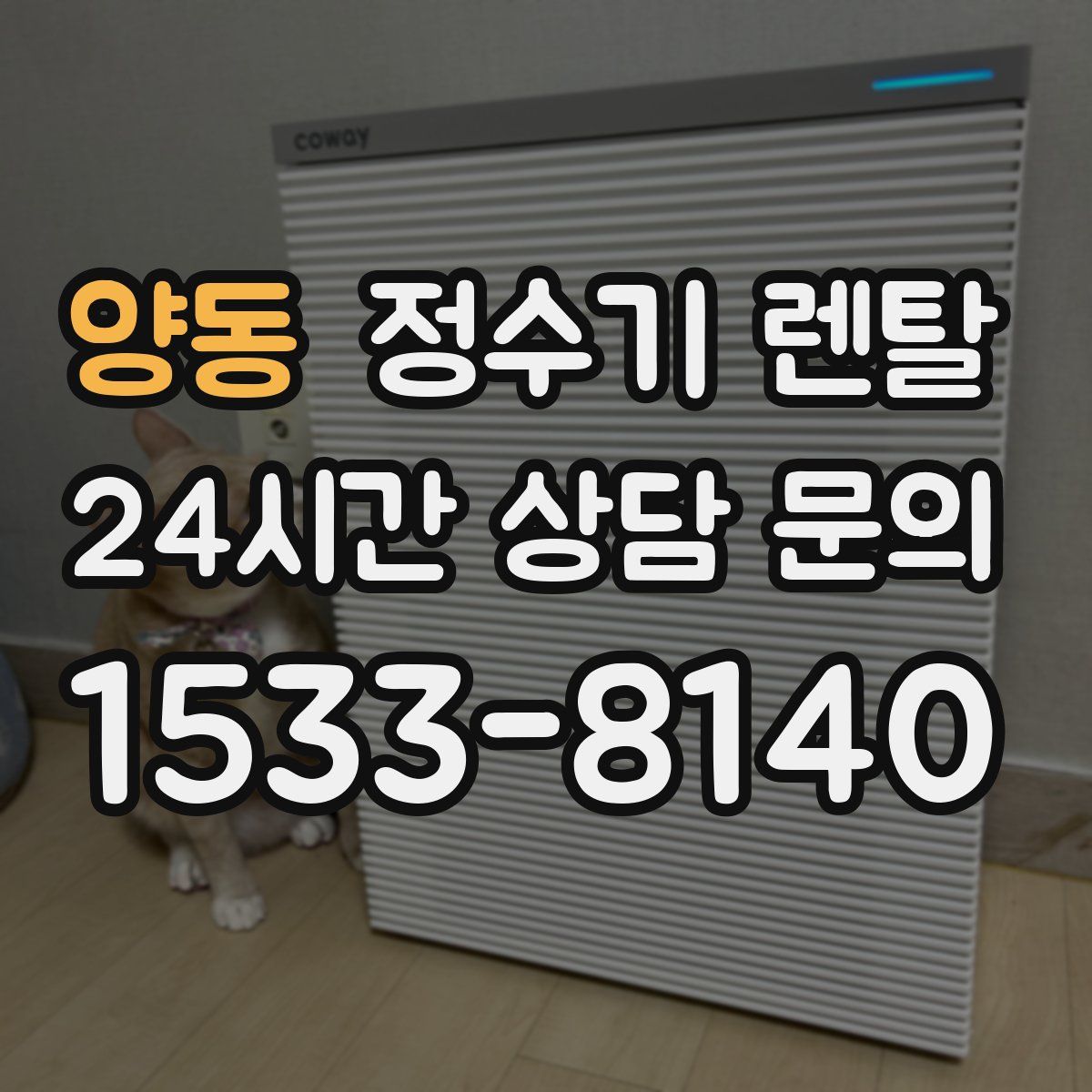 양동 정수기 렌탈