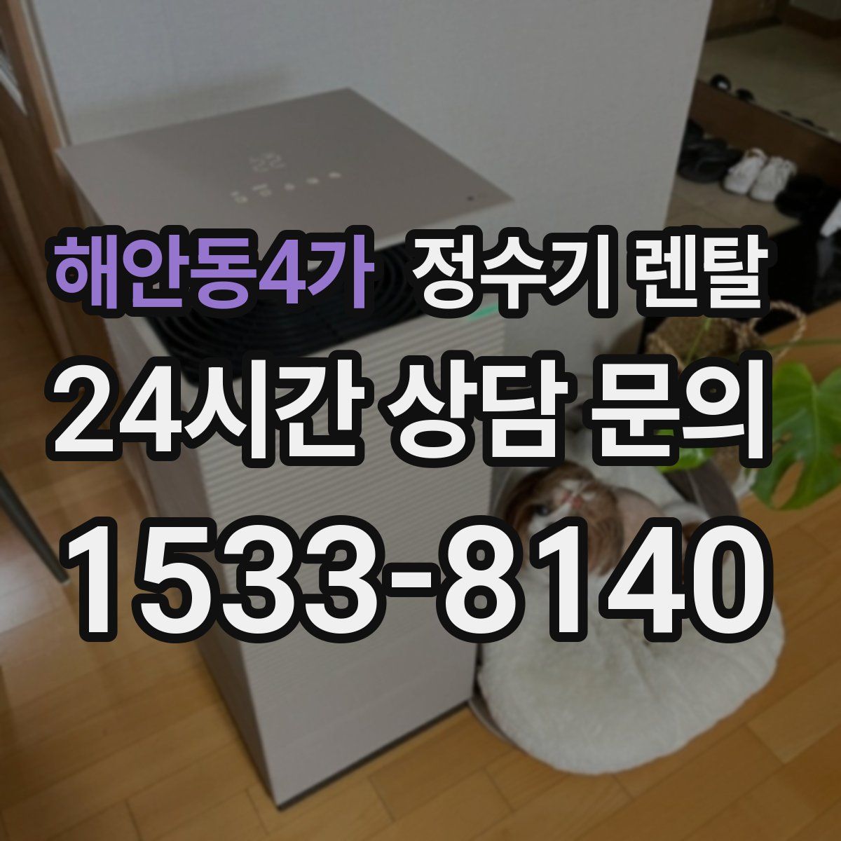 해안동4가 정수기 렌탈