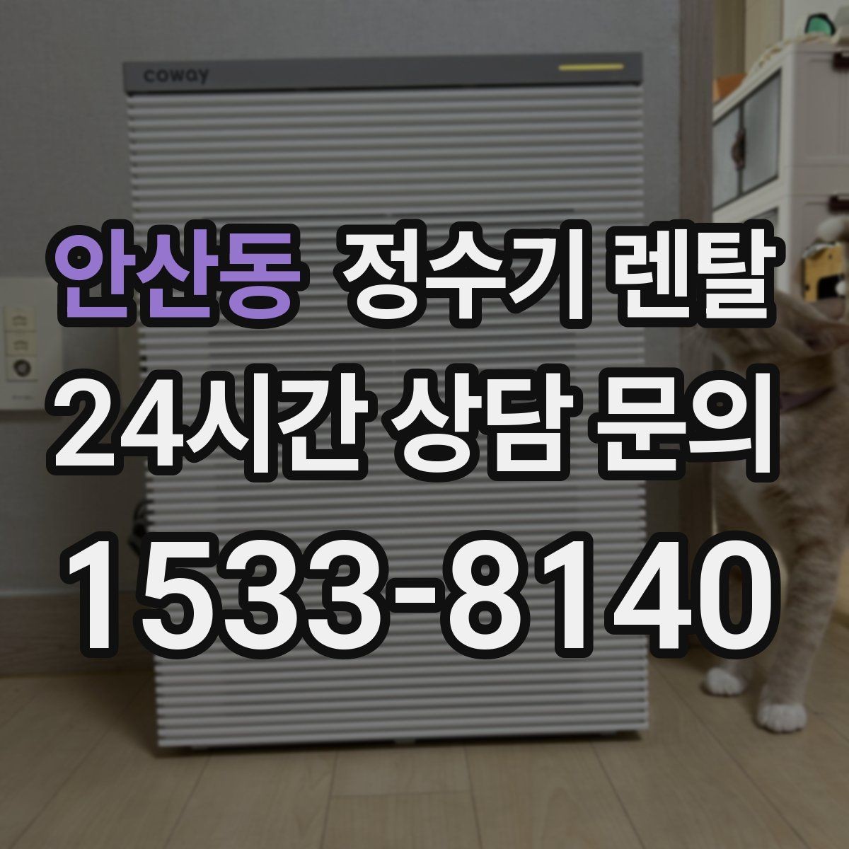 안산동 정수기 렌탈 얼음 기능은 위생 관리가 더 중요한 이유