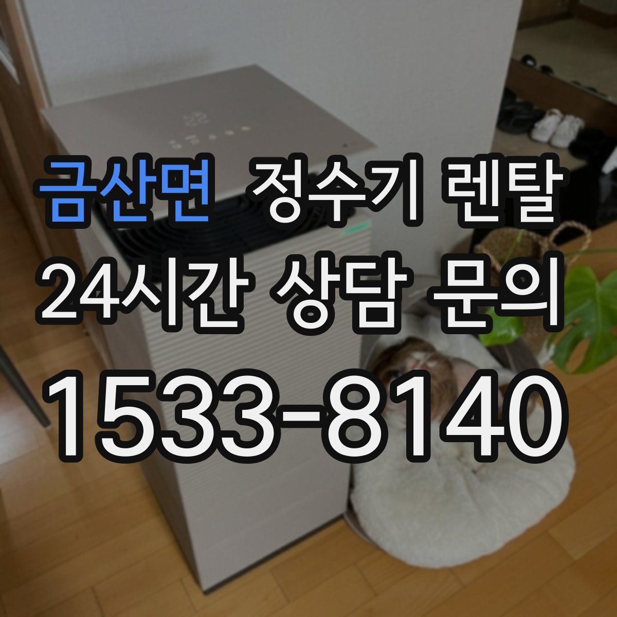 금산면 정수기 렌탈
