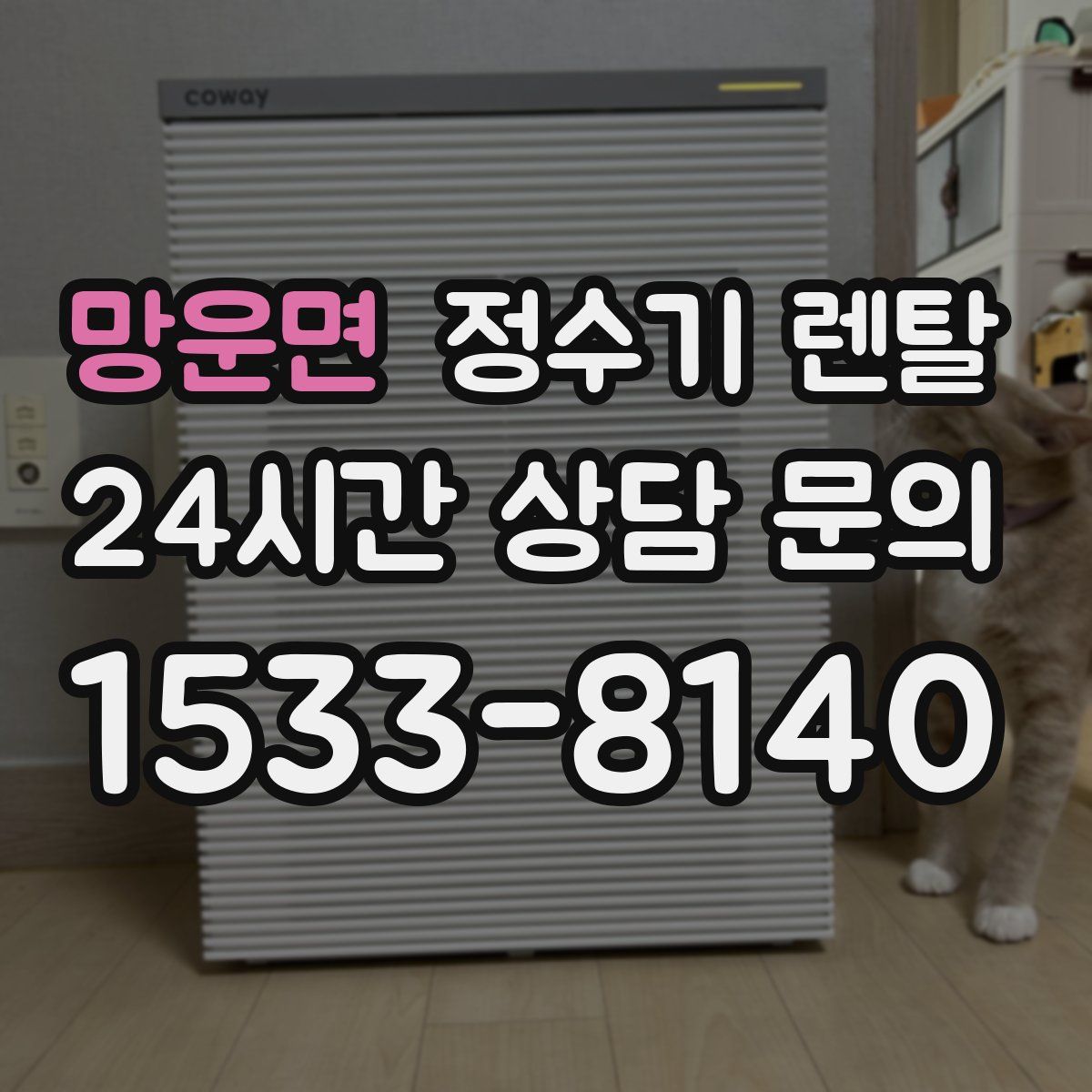 망운면 정수기 렌탈