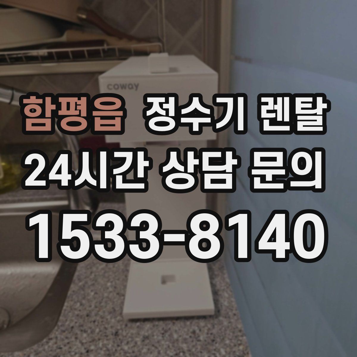 함평읍 정수기 렌탈 색상 선택으로 주방 분위기 맞추기