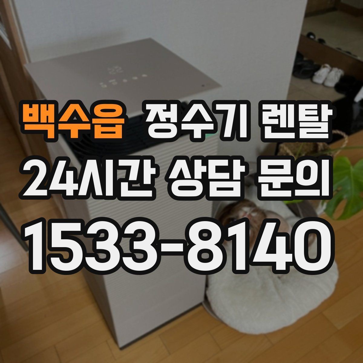 백수읍 정수기 렌탈 브랜드 비교보다 먼저 해야 하는 '사용량' 체크