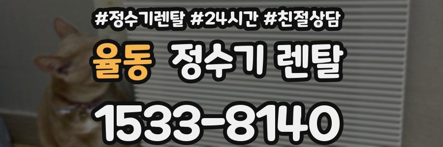 율동 정수기 렌탈