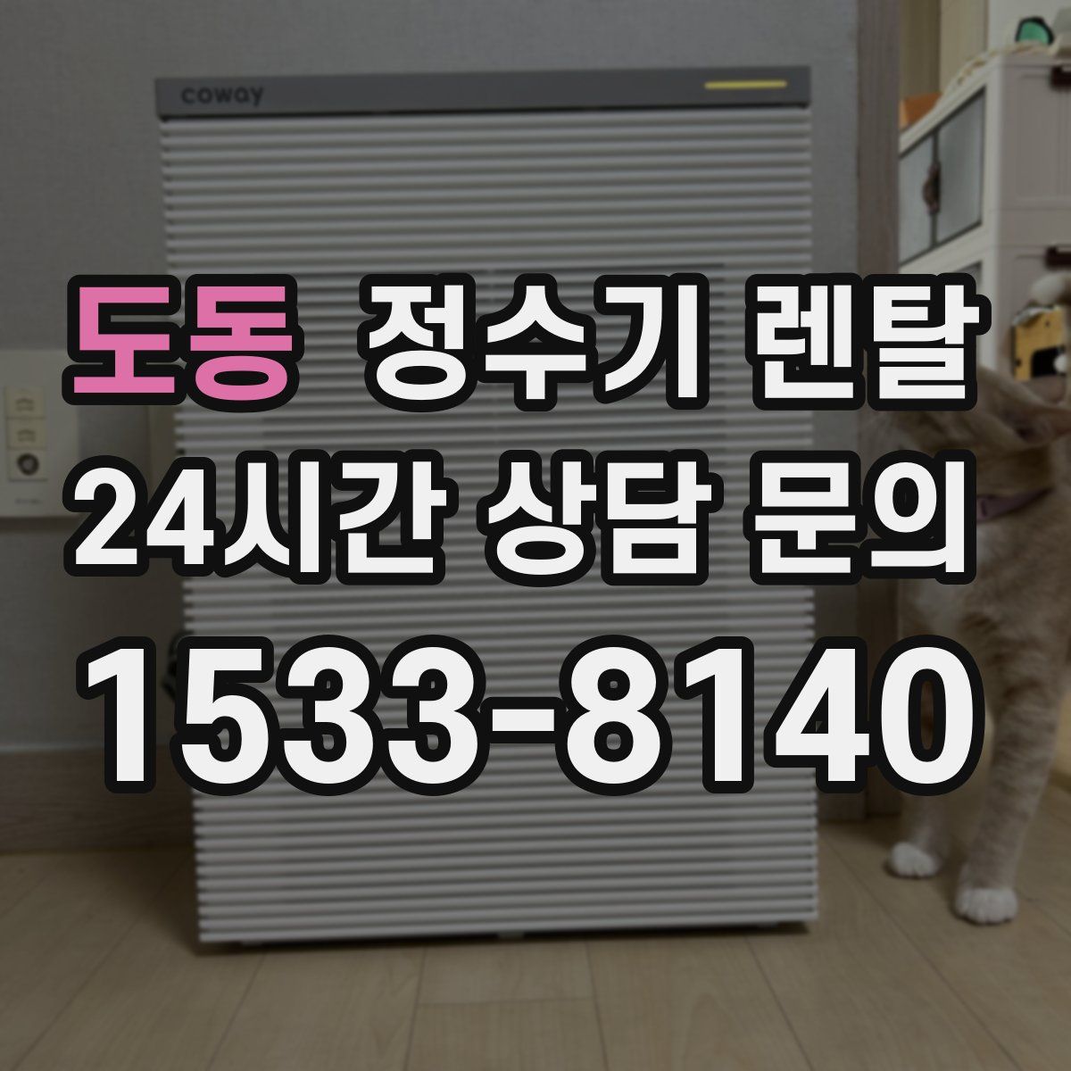 도동 정수기 렌탈