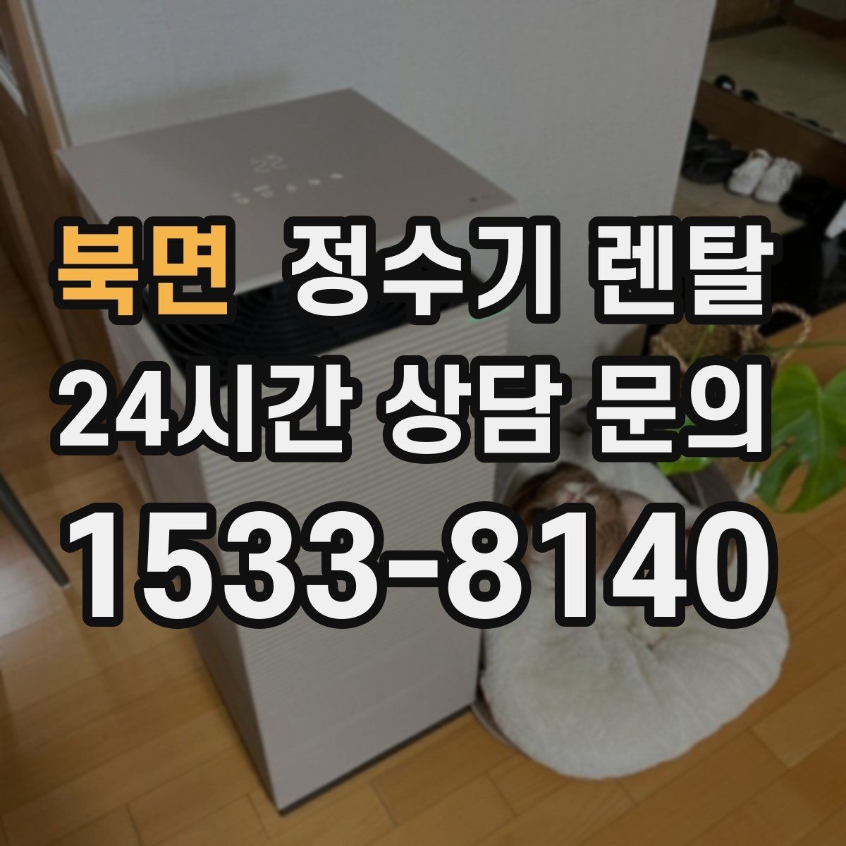 북면 정수기 렌탈 플라스틱 냄새가 걱정될 때 선택 기준