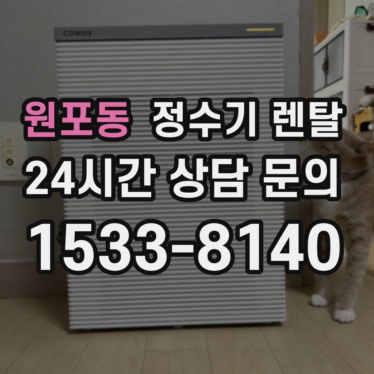 원포동 정수기 렌탈 미네랄 유지형을 찾는 이유를 정리