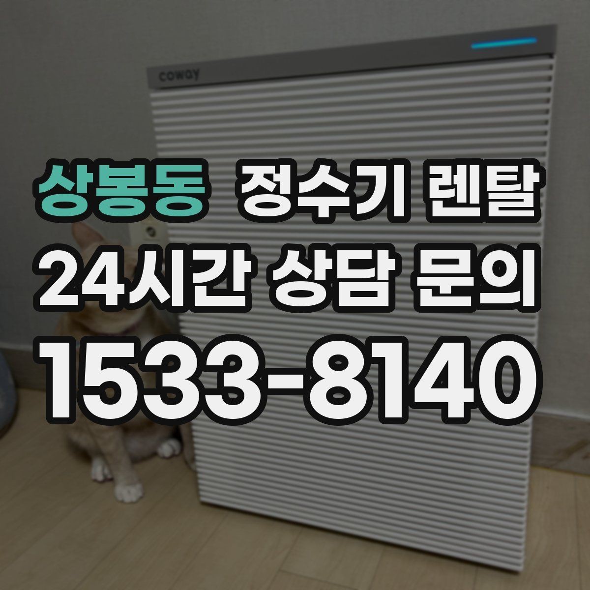 상봉동 정수기 렌탈 생수값 배송 보관까지 포함하면 달라지는 계산