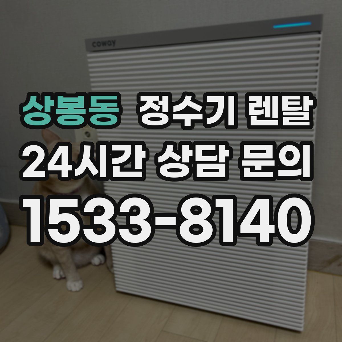 상봉동 정수기 렌탈