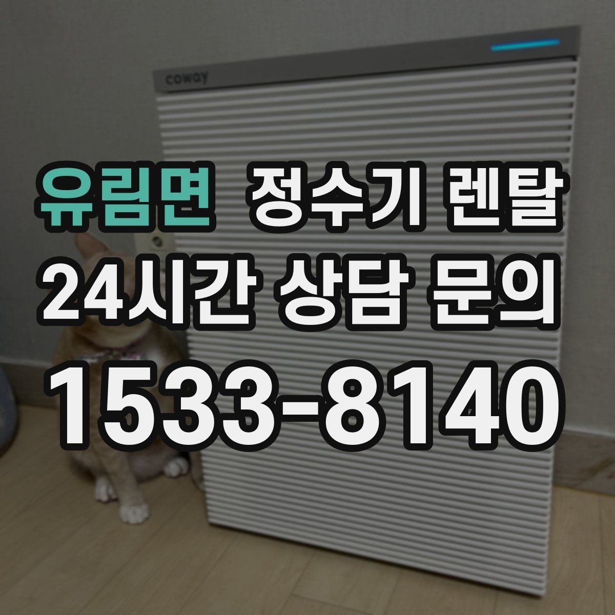 유림면 정수기 렌탈 작은 주방에 추천되는 설치 방식