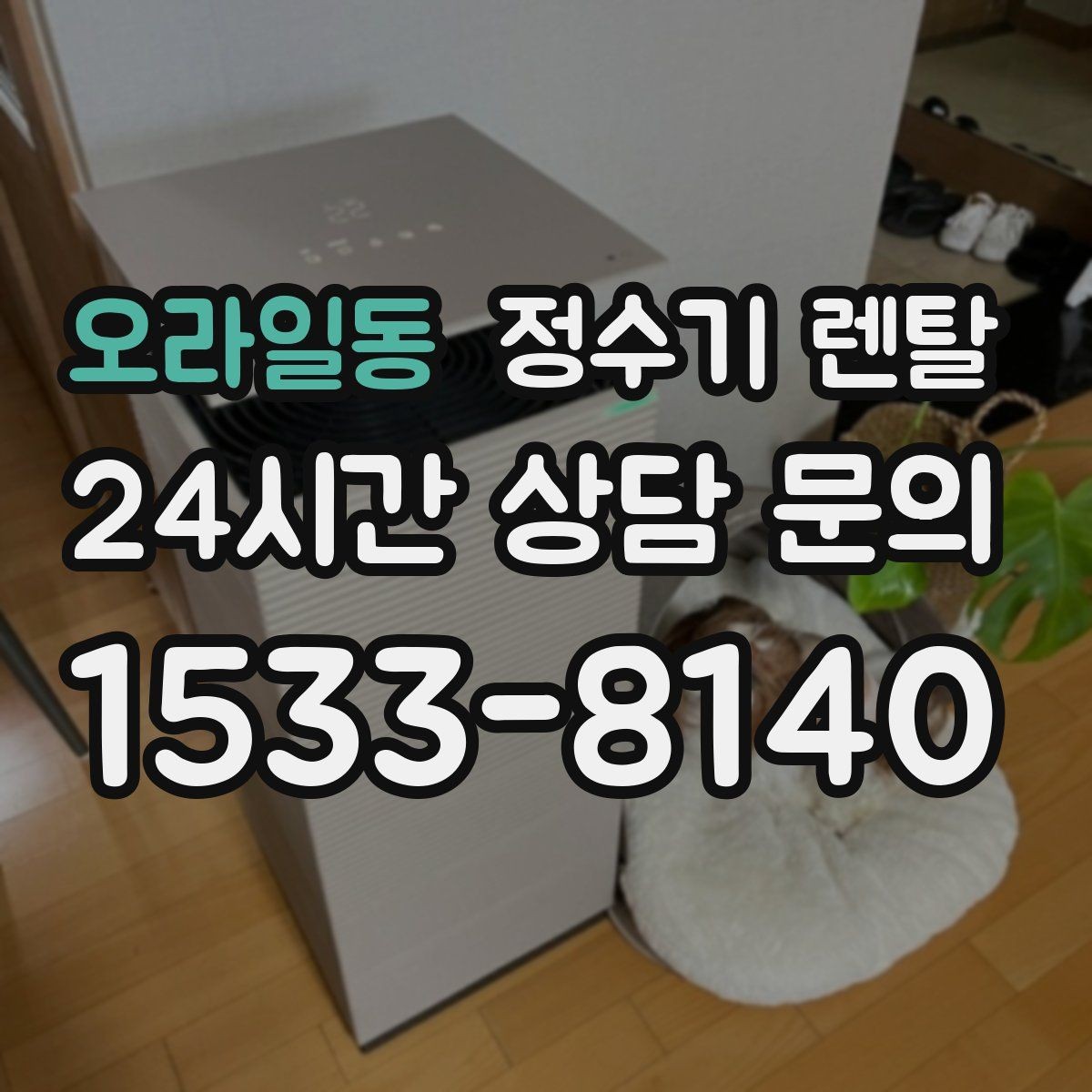 오라일동 정수기 렌탈 온수 온도가 낮을 때 점검 포인트