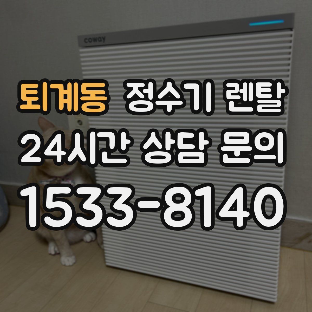 퇴계동 정수기 렌탈 방문 관리형이 편한 사람들의 공통점