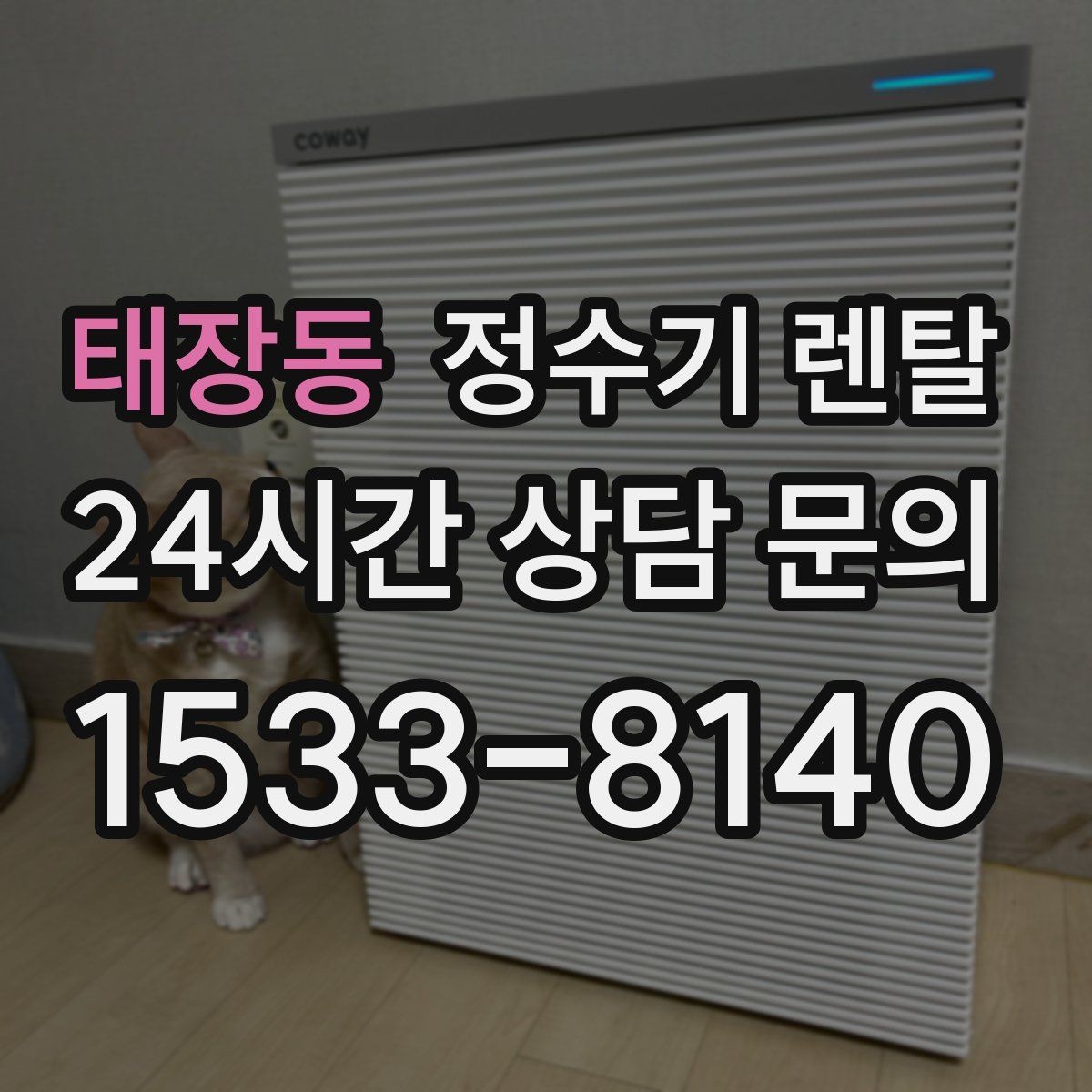 태장동 정수기 렌탈 물 보관 공간이 부족하면 렌탈이 편한 이유