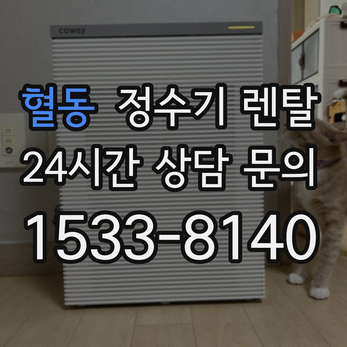 혈동 정수기 렌탈