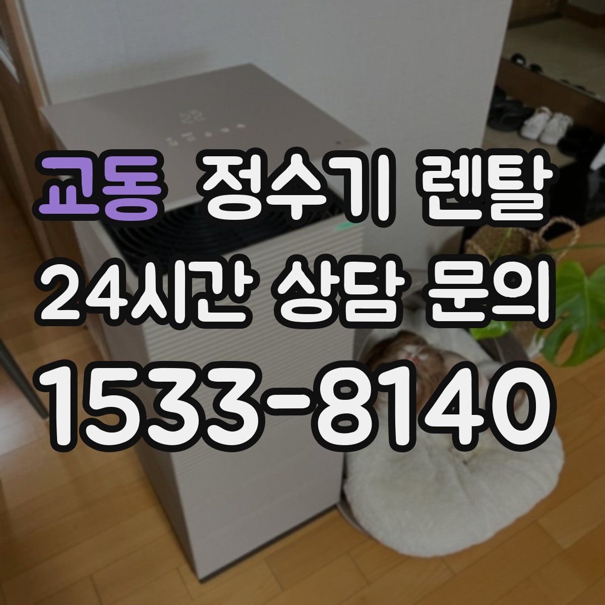 교동 정수기 렌탈