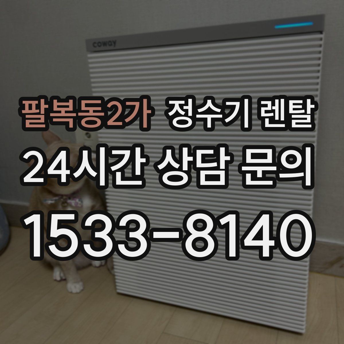 팔복동2가 정수기 렌탈 물맛이 예민한 분들이 체크하는 기준