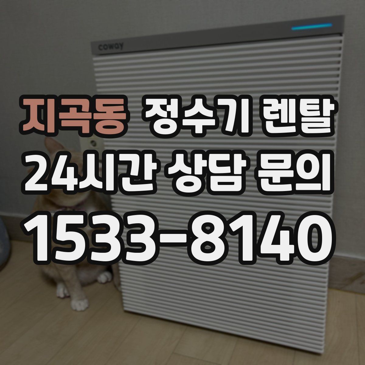 지곡동 정수기 렌탈 온수 온도가 낮을 때 점검 포인트