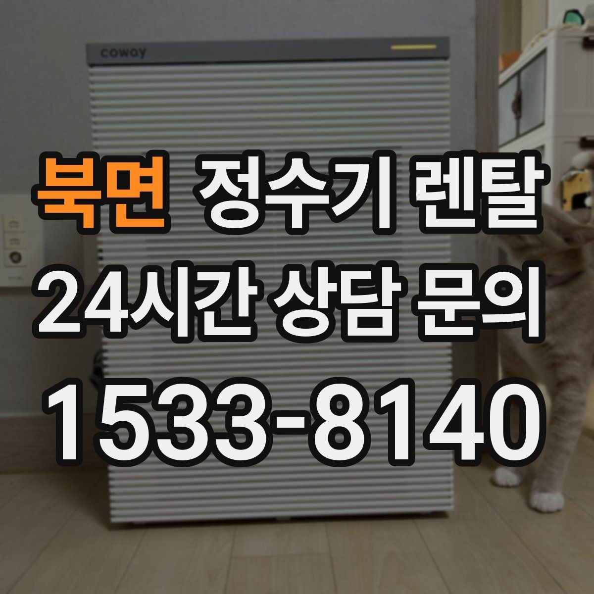 북면 정수기 렌탈 1인 가구는 냉수 기능보다 중요한 포인트