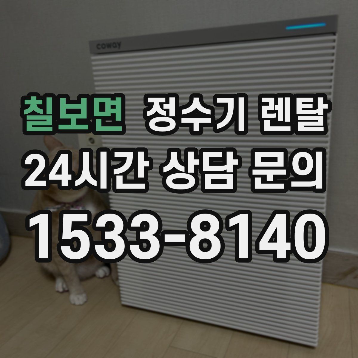 칠보면 정수기 렌탈 위생을 위해 매일 할 수 있는 간단 관리 습관
