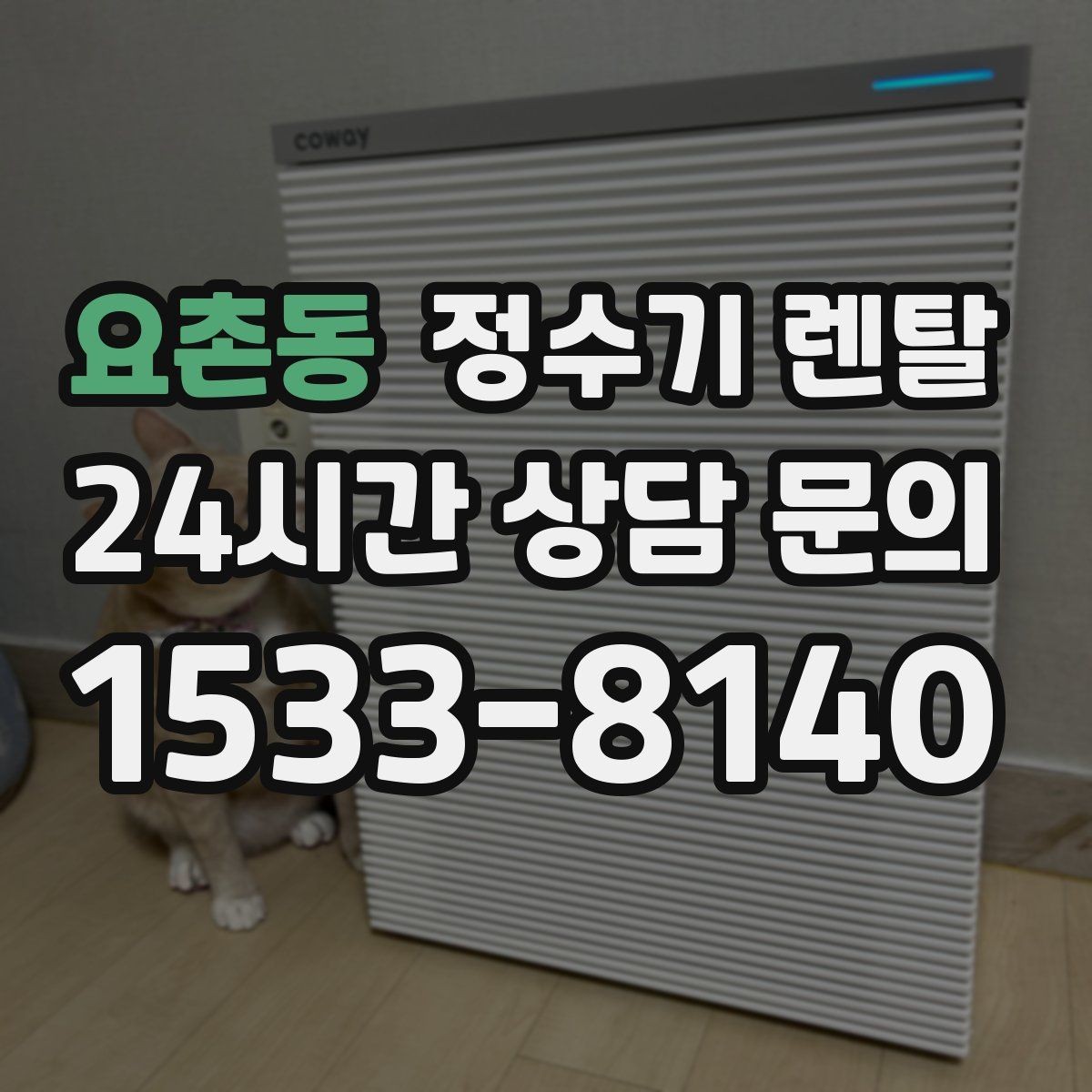요촌동 정수기 렌탈 초기 물 빼기(플러싱)가 필요한 이유