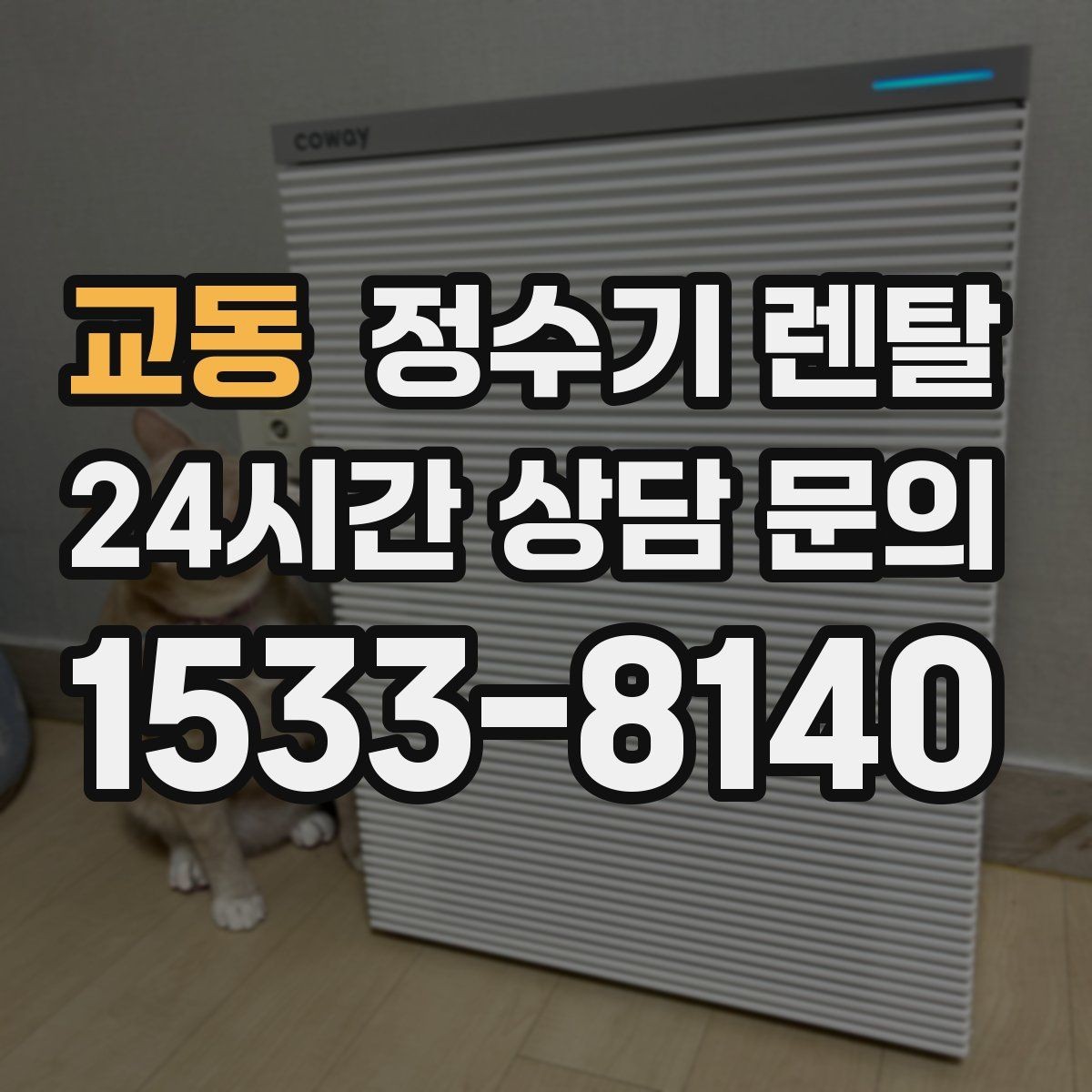 교동 정수기 렌탈 색상 선택으로 주방 분위기 맞추기