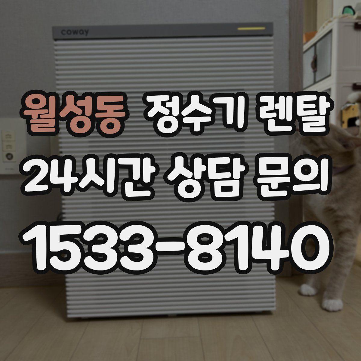 월성동 정수기 렌탈