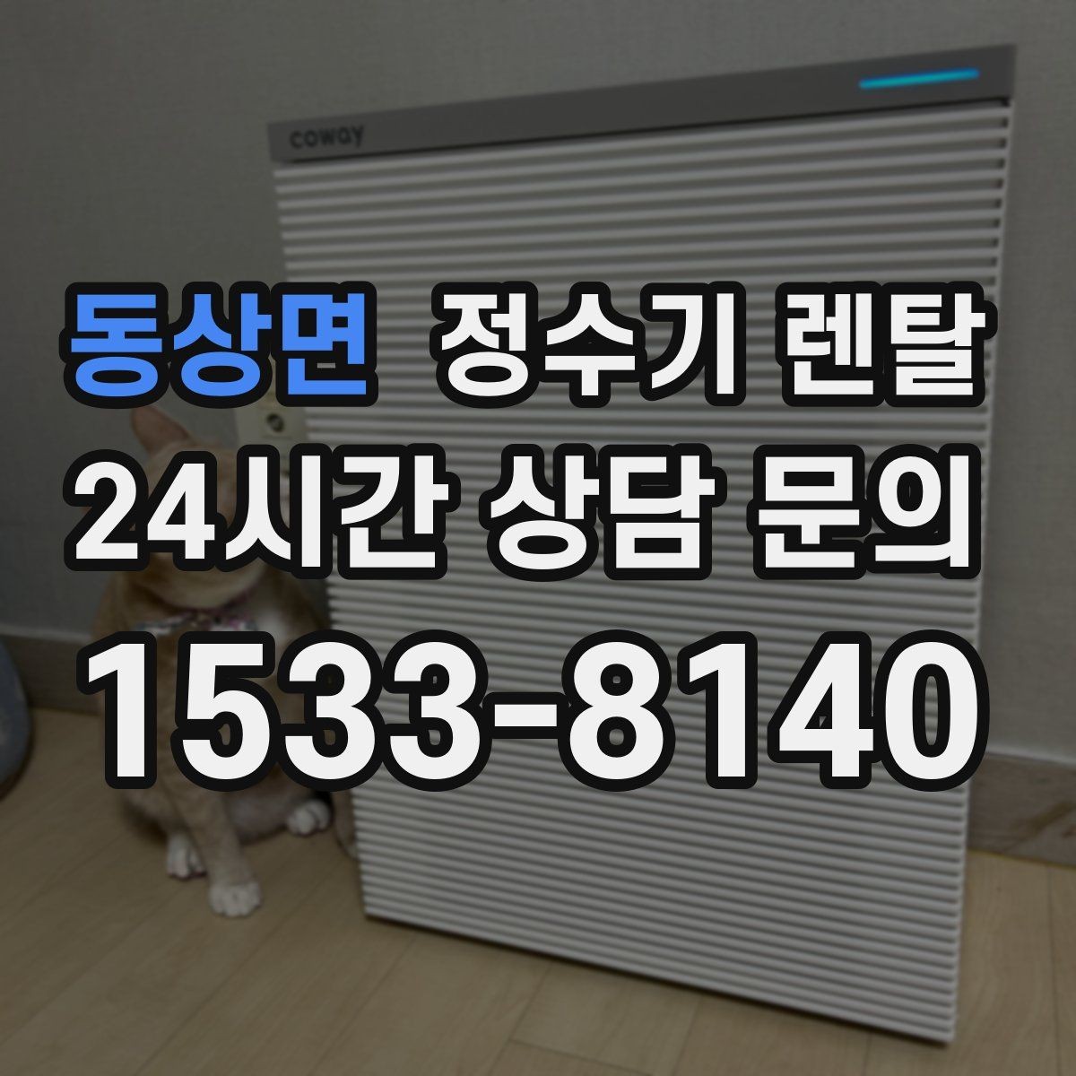 동상면 정수기 렌탈 빌트인형과 스탠드형 차이 정리